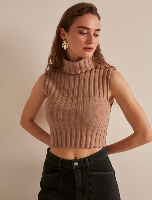 Turtleneck  Crop Blouse