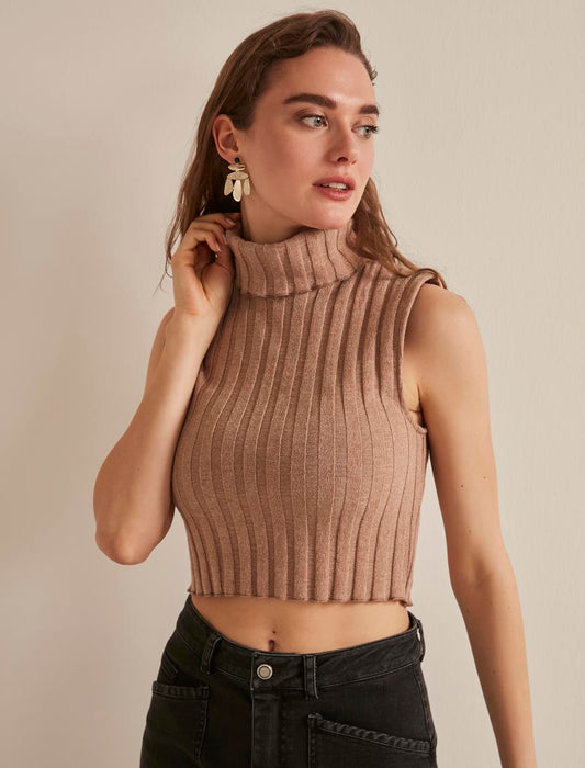 Turtleneck  Crop Blouse