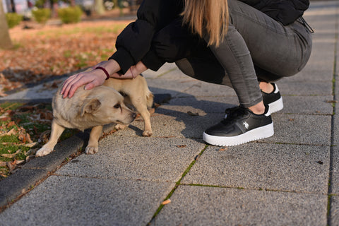 Women's Black Sneaker Shoes (Baldo)